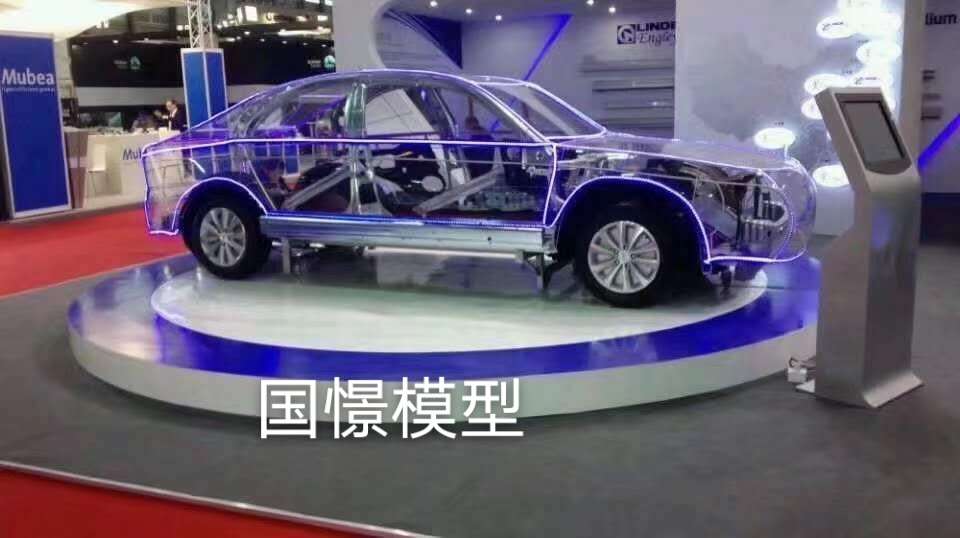 固安县透明车模型